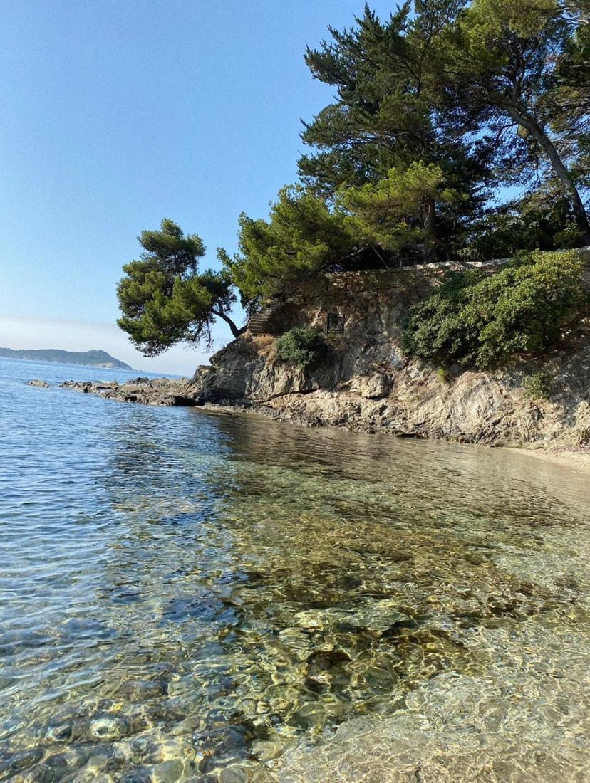 Haut De Villa Entre Mer Et Campagne Hyères Екстериор снимка